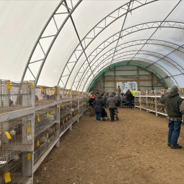 Across state-lines: Hillsdale hosts hundred-year auction