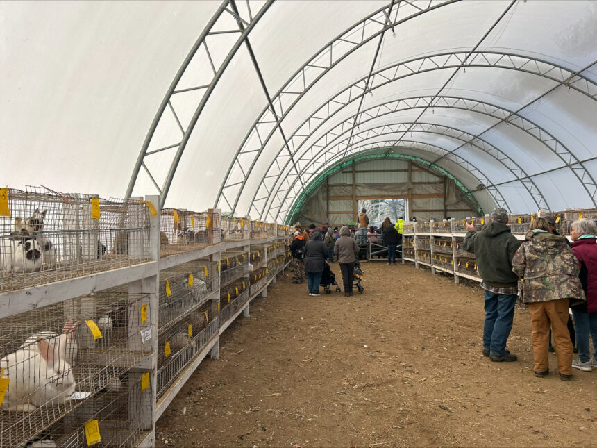 Across state-lines: Hillsdale hosts hundred-year auction