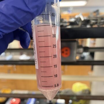 Student tests CBD products and finds label claims inaccurate