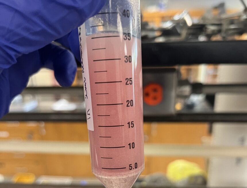 Student tests CBD products and finds label claims inaccurate