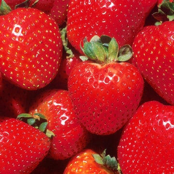 Strawberry festival to bring food, crafts to community