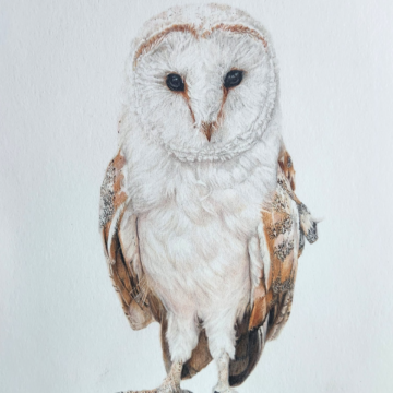 Artists to host show Saturday