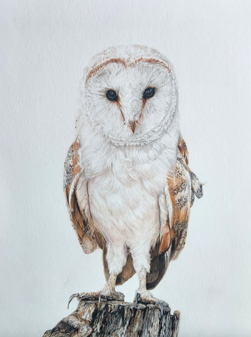 Artists to host show Saturday