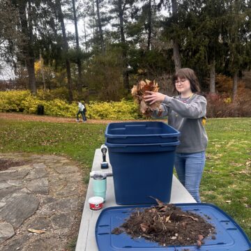 Read The Collegian before the worms do