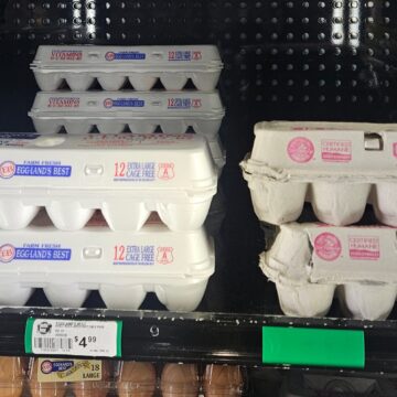 New cage-free law, bird flu spike egg prices at local stores