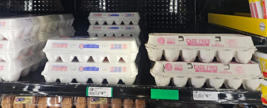 New cage-free law, bird flu spike egg prices at local stores