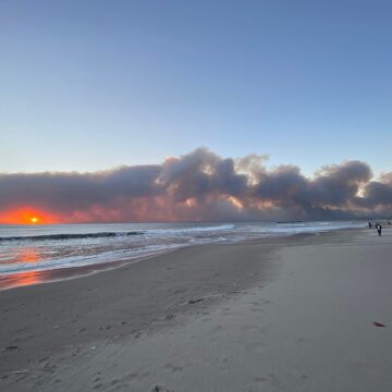 Poor leadership cost LA lives