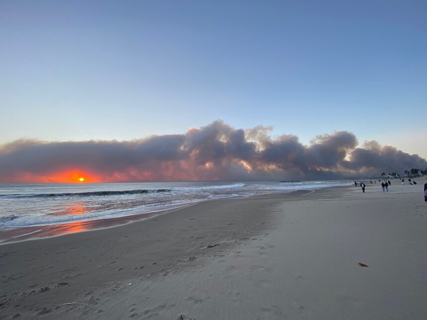 Poor leadership cost LA lives