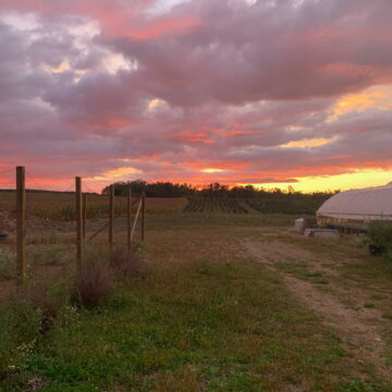 Production grows at Homestead
