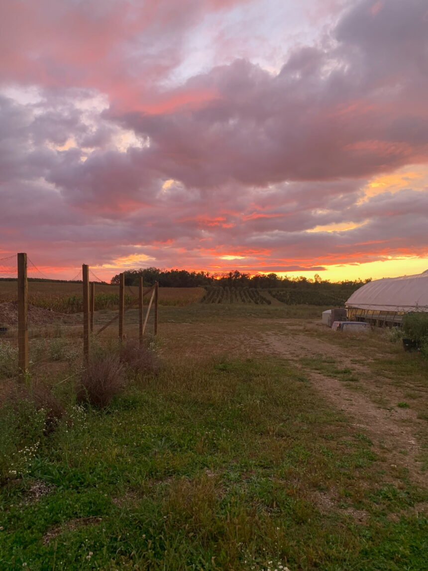 Production grows at Homestead