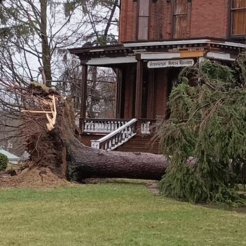 Storm sparks citywide power outage