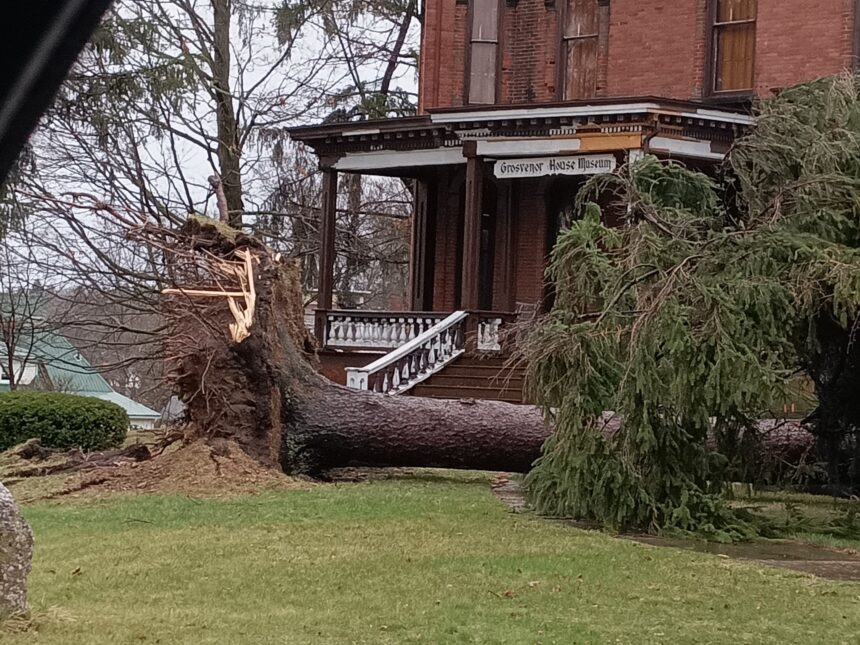 Storm sparks citywide power outage