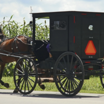Buggy safety concerns rise after two Amish die in crashes