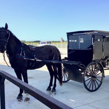 Local health agency proposes project to reduce buggy crashes