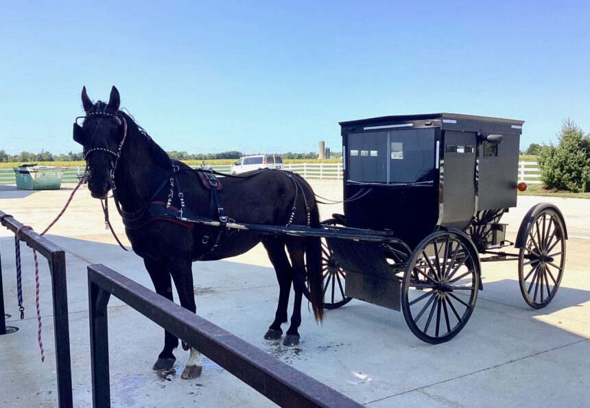 Local health agency proposes project to reduce buggy crashes