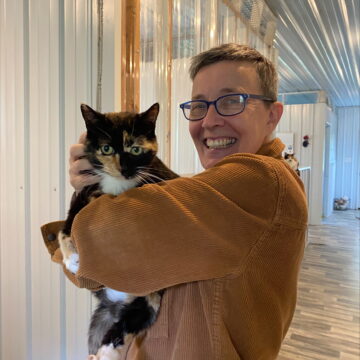 Animal neglect leads to growing homeless cat population