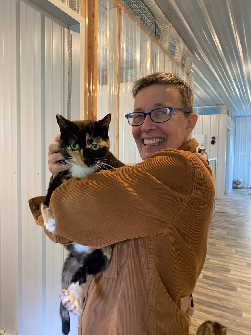 processed-8737F7CF-7E21-4084-A648-AF672FEA2ACD Animal neglect leads to growing homeless cat population