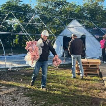 City removes Camp Hope structure