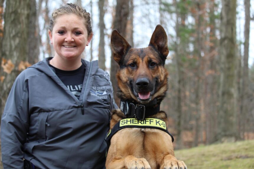 Handlers can choose to adopt retired K-9s