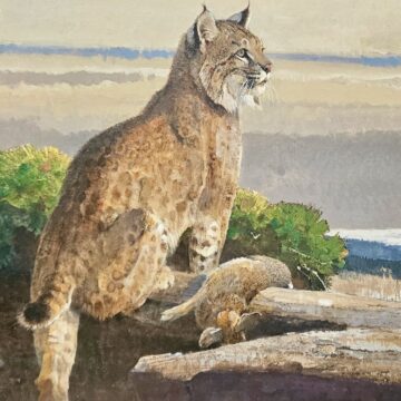 The power and the humor of nature: Bob Kuhn draws on instinct