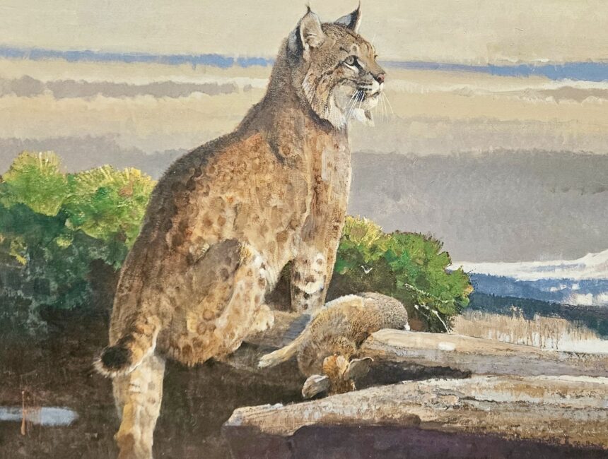 The power and the humor of nature: Bob Kuhn draws on instinct