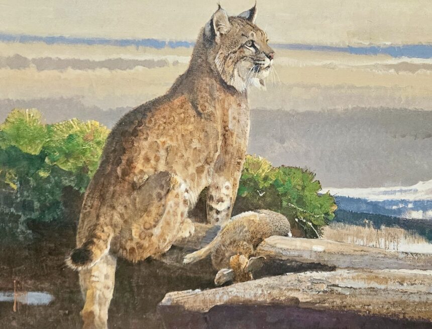 The power and the humor of nature: Bob Kuhn draws on instinct