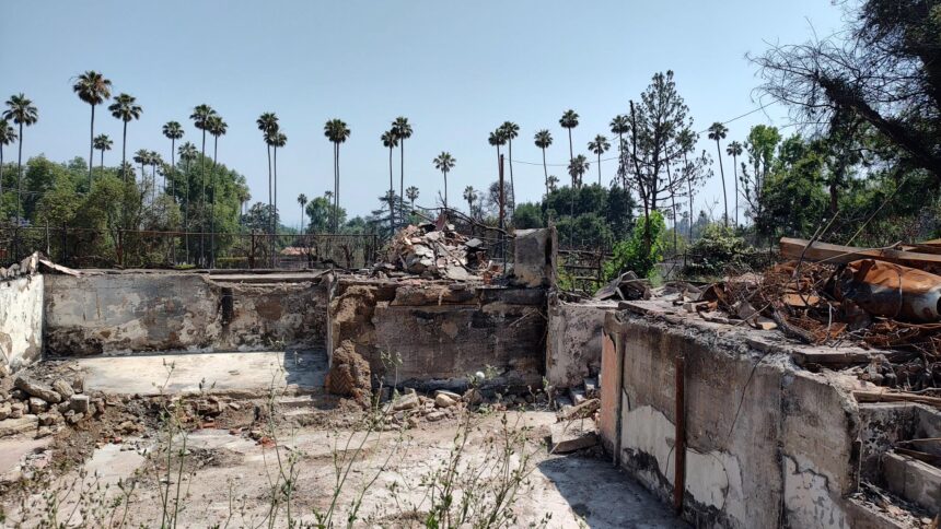 ‘Scorched remains’: Reflections on California fires one year later