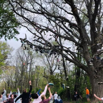 Footwear fills centuries-old tree