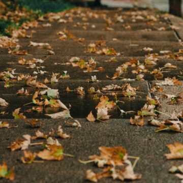Build sidewalks where students make shortcuts