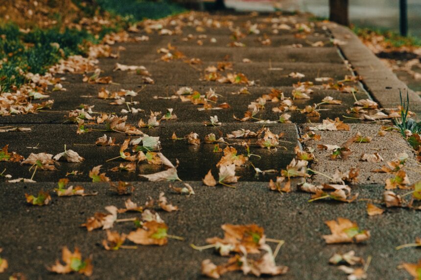 Build sidewalks where students make shortcuts