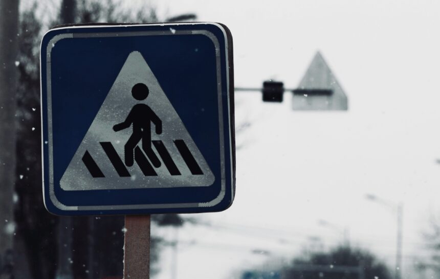 The Gen Alphas yearn for the snow day